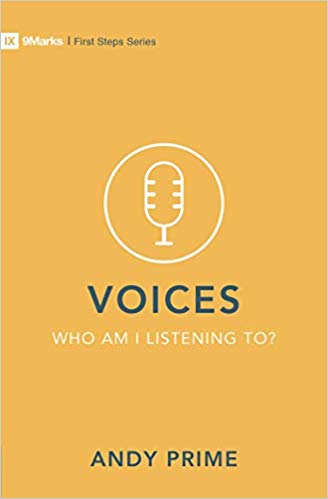 Voices: Who Am I Listening To?